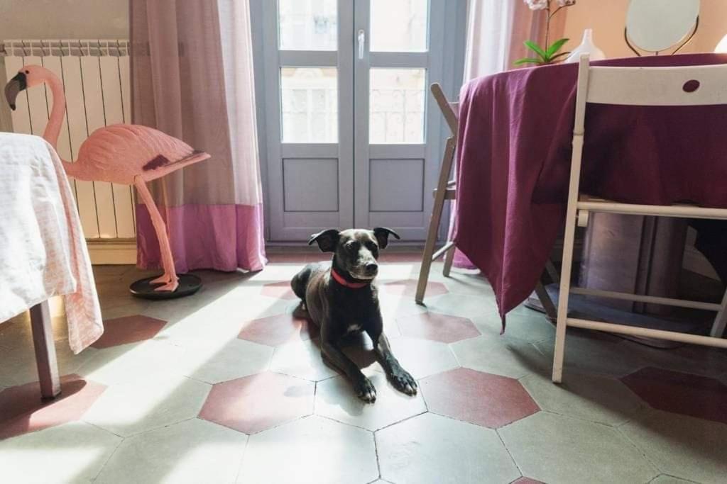 Bed and breakfast Casa Dani&swing Bed&books *